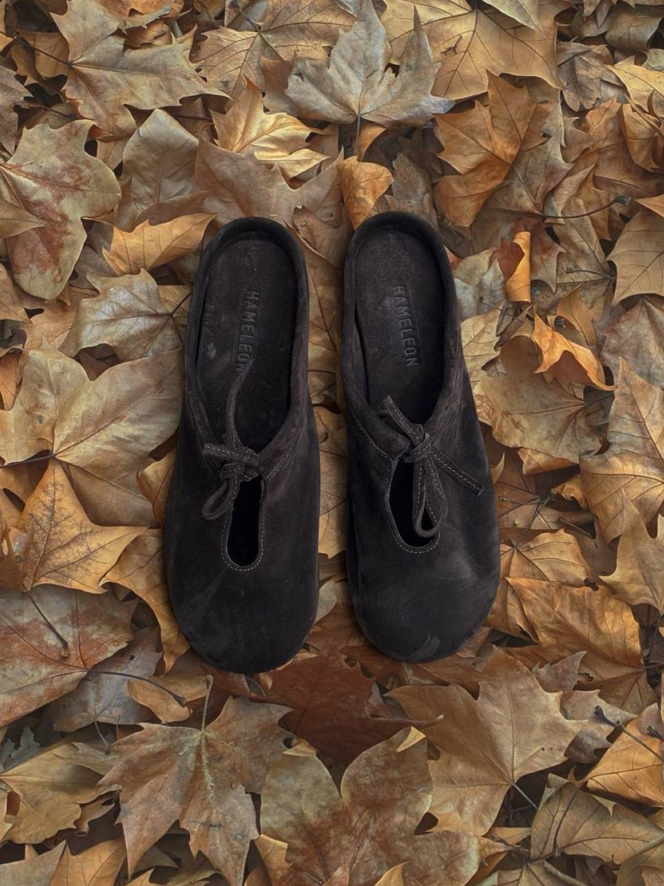 Walnut suede slipper flats from the Lulu collection on autumn leaves