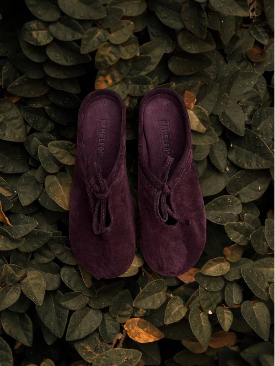 Bordeaux suede slipper flats from the Lulu collection against green foliage