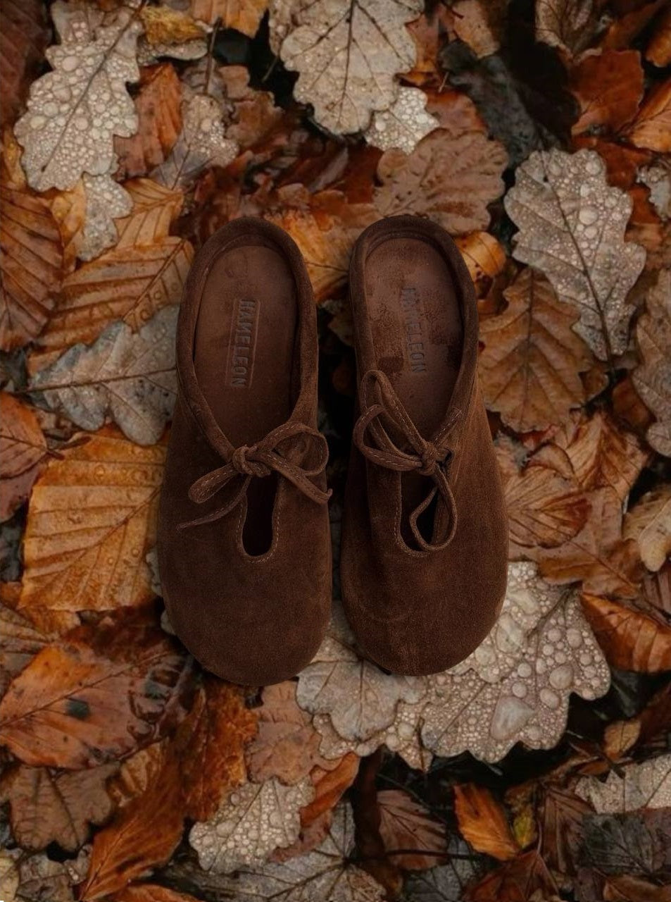 Toffee suede slipper flats from the Lulu collection on autumn leaves